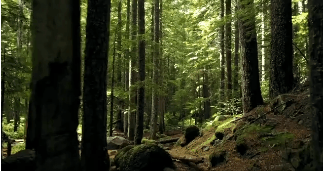 引领家居新灵感！福庆家具板灵动一夏，怦然上新 