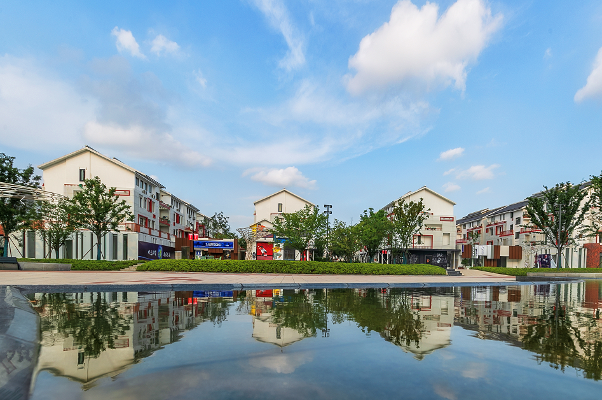 1663159841242828.png image.png